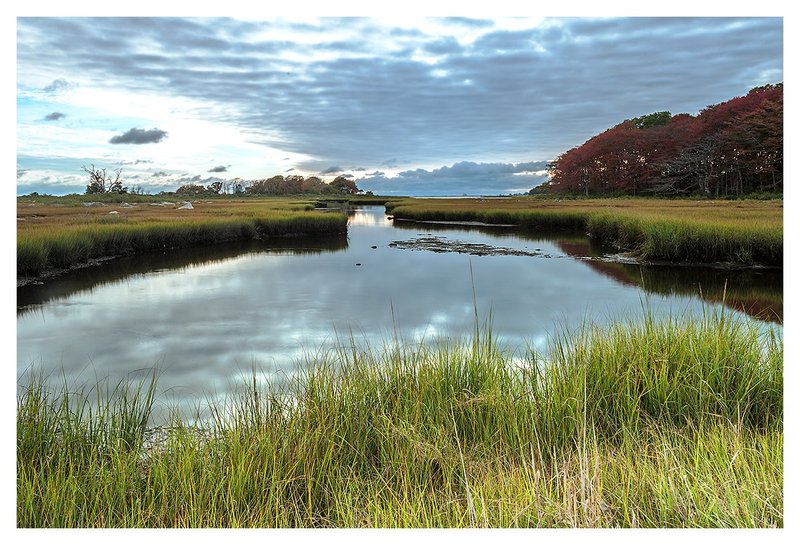 Marsh-High-Tide.jpg