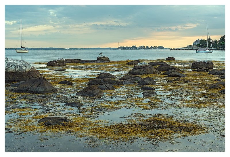 MasonsIslandAugustEvening SeascapesLighthouses Scenic and