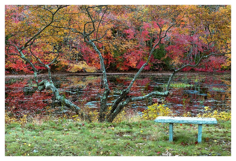 Autumn-Bench.jpg