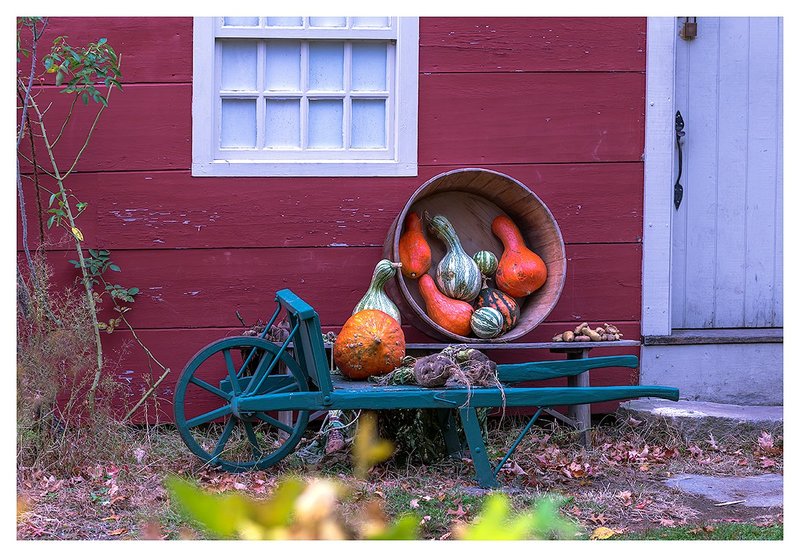 Fall-Harvest..jpg