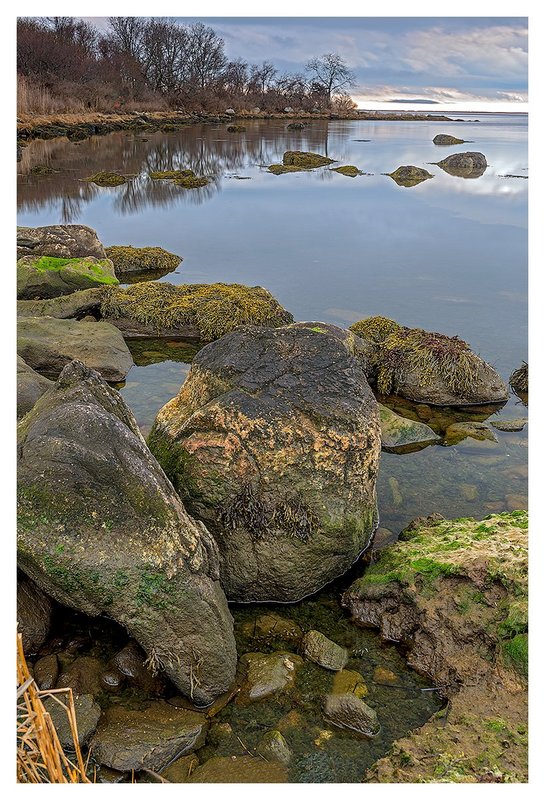 Low-Tide--Barn-island.jpg