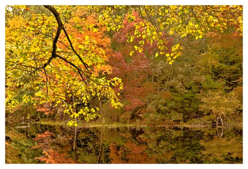 Clarks Falls pond-fall.jpg