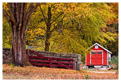 Red-Shed.jpg
