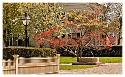 Seaport spring morning.jpg