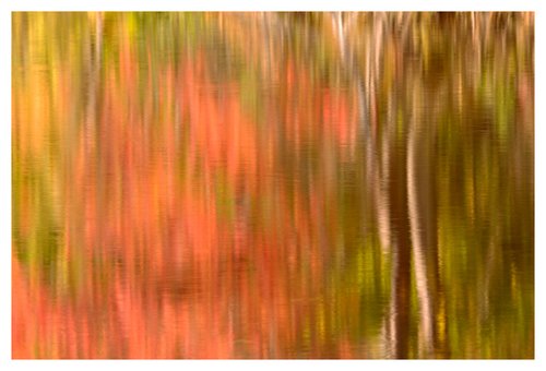 abstract reflection.jpg