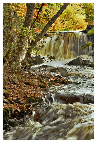 brook and waterfall.jpg
