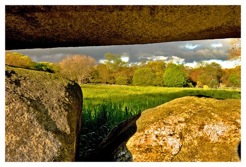 stone wall-Haley Farm.jpg