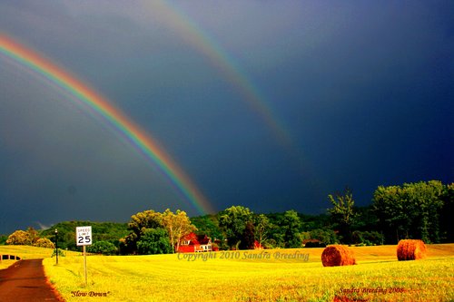 Slow Down Series.jpg