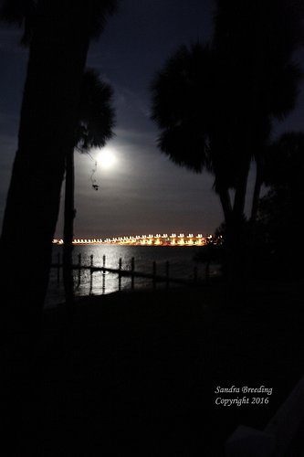 IMG_6969.jpgwm_1.jpg