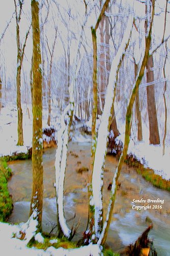 IMG_9121.Winter Art.jpg