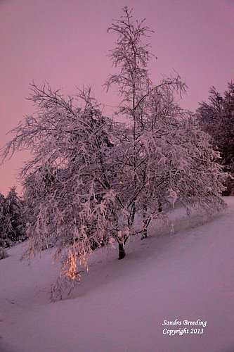 Soft Snow wm_13.jpg