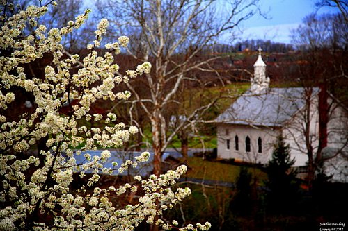 The Heart of the Communitywm_13.jpg