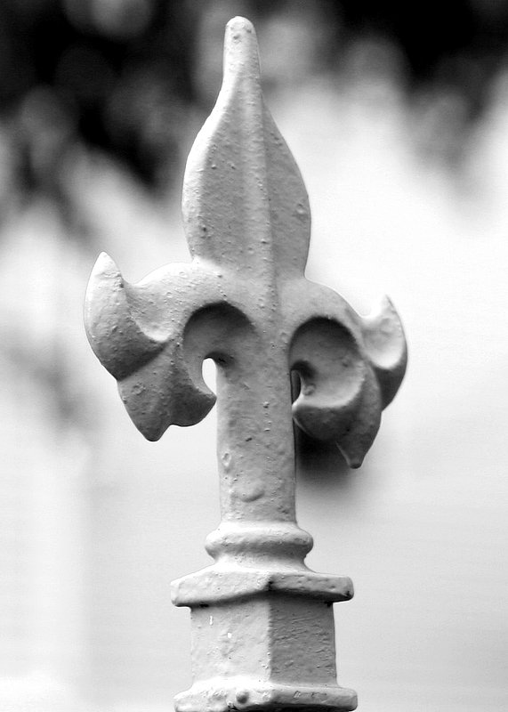 5x7 fleur de lis.jpg