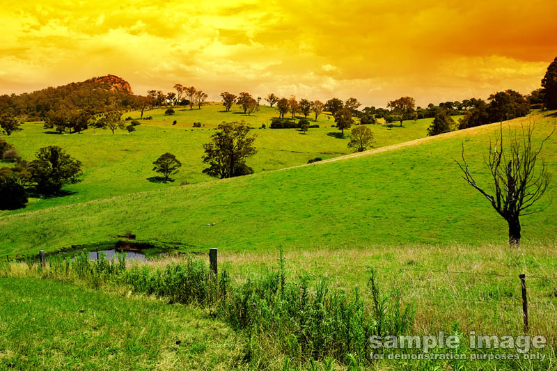 nature-bp-0071.jpg :: rolling green hills