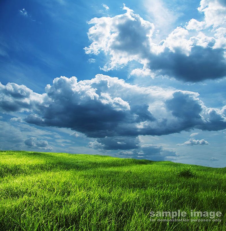 nature-bp-0151.jpg :: sunny sky over lush fields