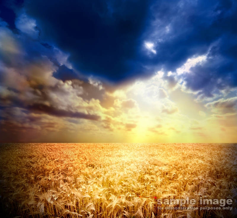 nature-bp-0351.jpg :: cloudy sky over fields