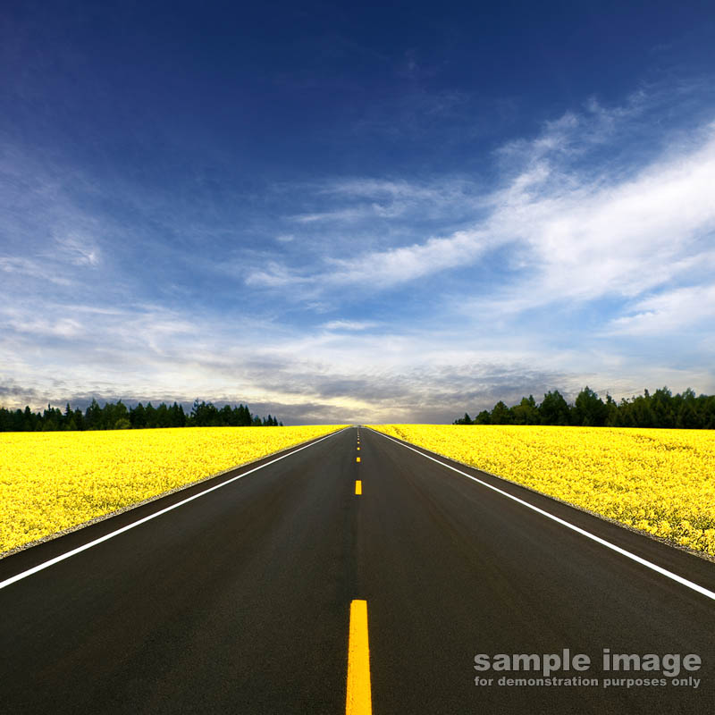 roads-bp-0221.jpg