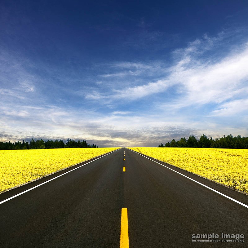 roads-bp-022.jpg