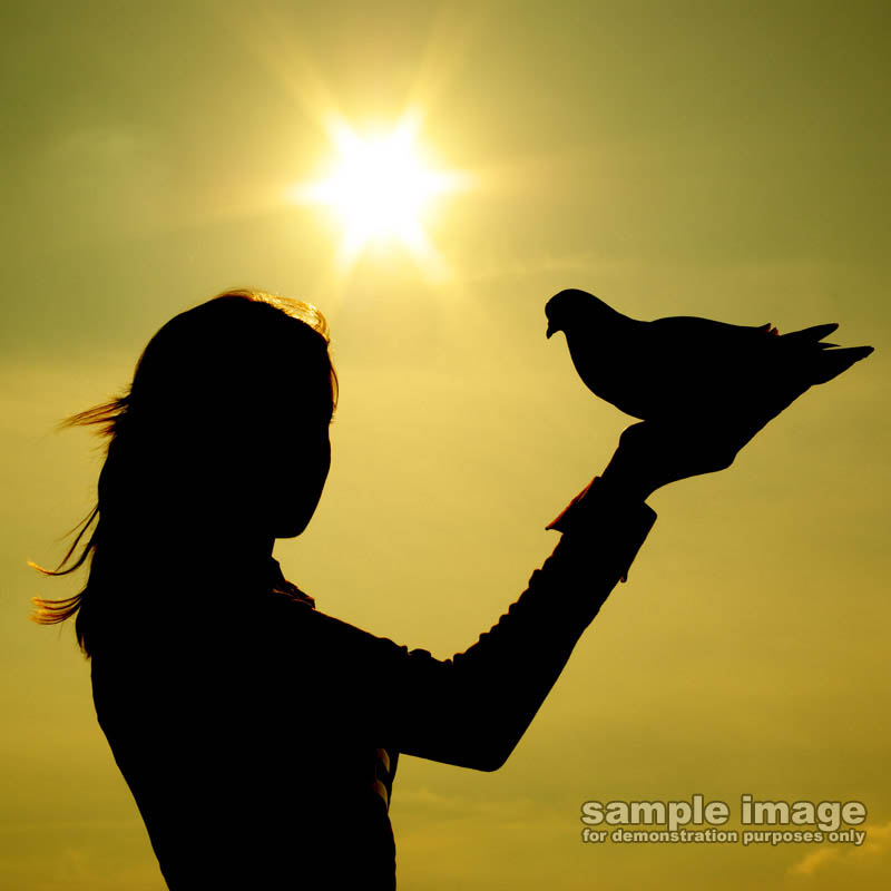 sillouettes-sp-006.jpg :: silouette of a person