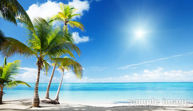 nature-bp-036.jpg :: tropical beach with palm trees