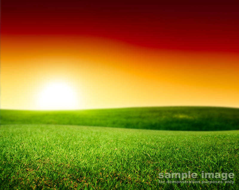 nature-bp-021.jpg :: brilliant sunset over lush fileds