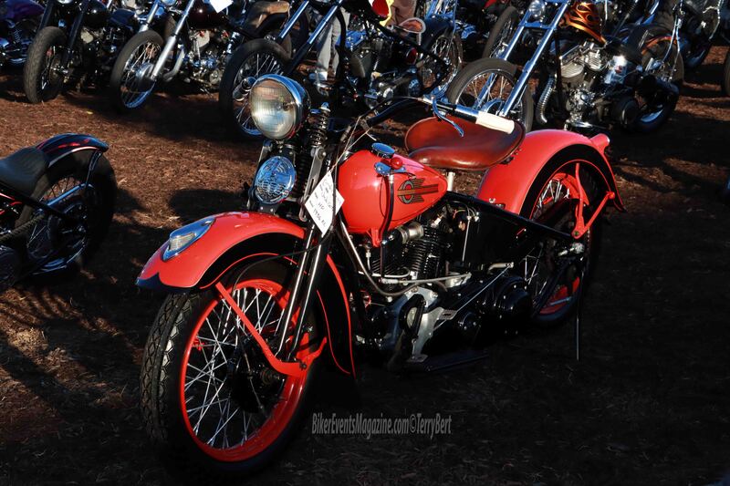 IMG_0103_edited-3 copy.jpg