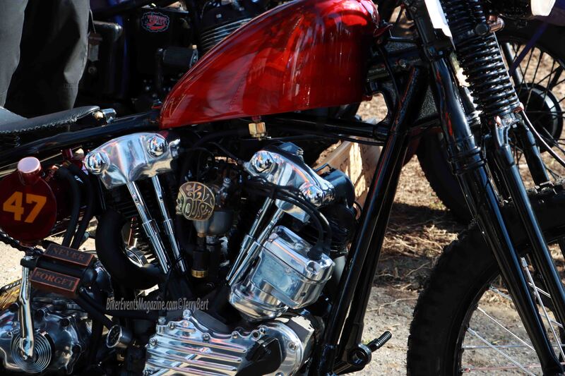 IMG_0406_edited-4 copy.jpg