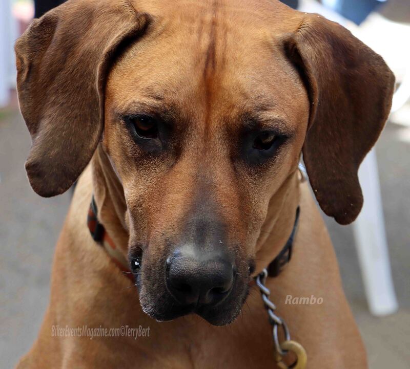 IMG_0501_edited-3 copy.jpg