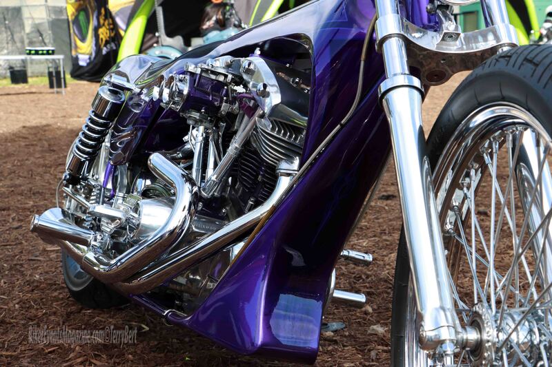 IMG_0548_edited-4 copy.jpg