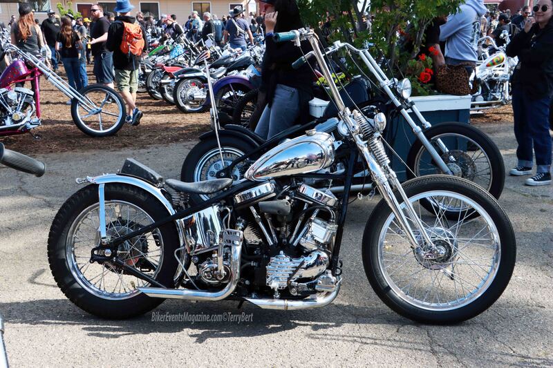 IMG_0626_edited-3 copy(1).jpg