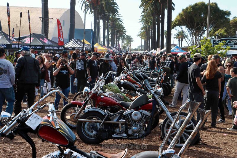 IMG_0750_edited-4 copy.jpg