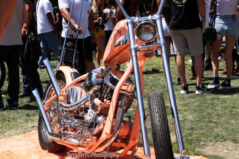 IMG_3319_edited-3 copy.jpg