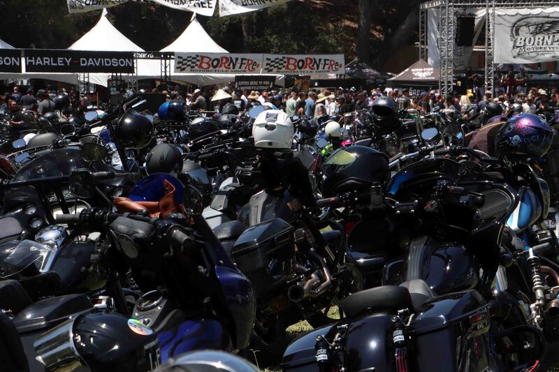 IMG_3370_edited-1 2(1).jpg