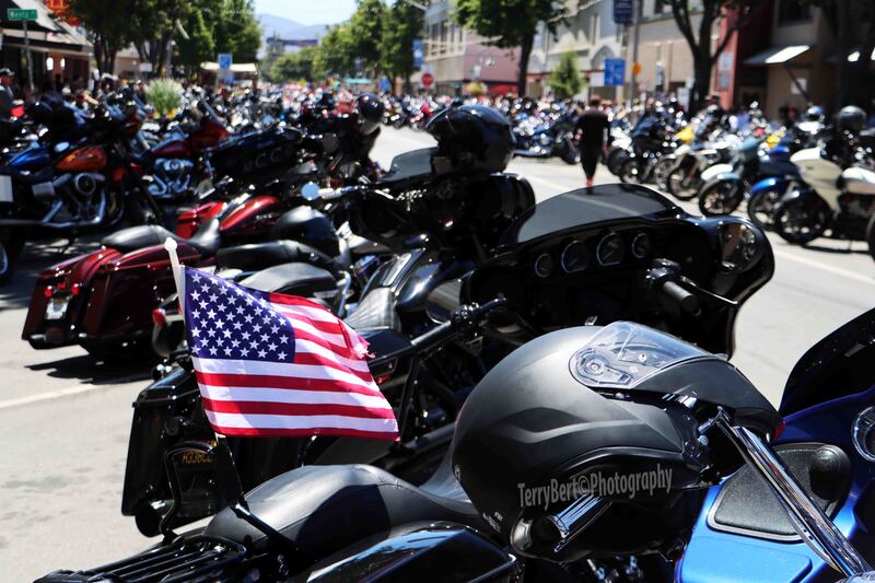 IMG_4025 copy(1).jpg