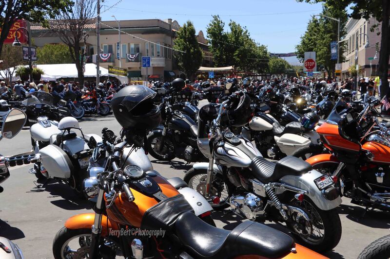 IMG_4624 copy(1).jpg