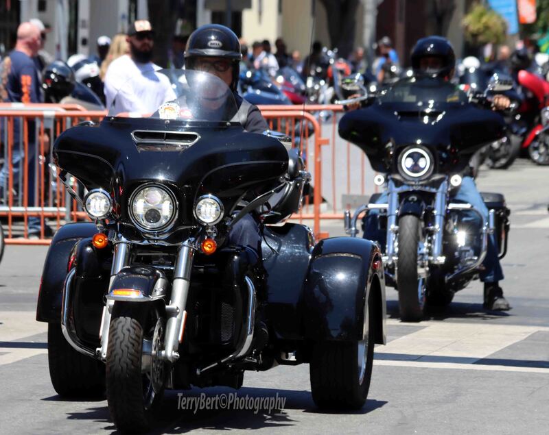 IMG_4725 copy(1).jpg