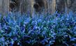 IMG_4558_edited-2 2.jpg