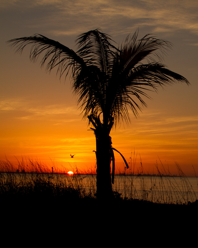 IMG_7977(1).jpg :: Sunrise on Sanibel Island