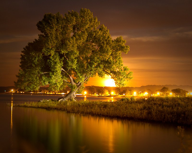 TSJ__20100528_IMG_4748.jpg :: Moon Glow