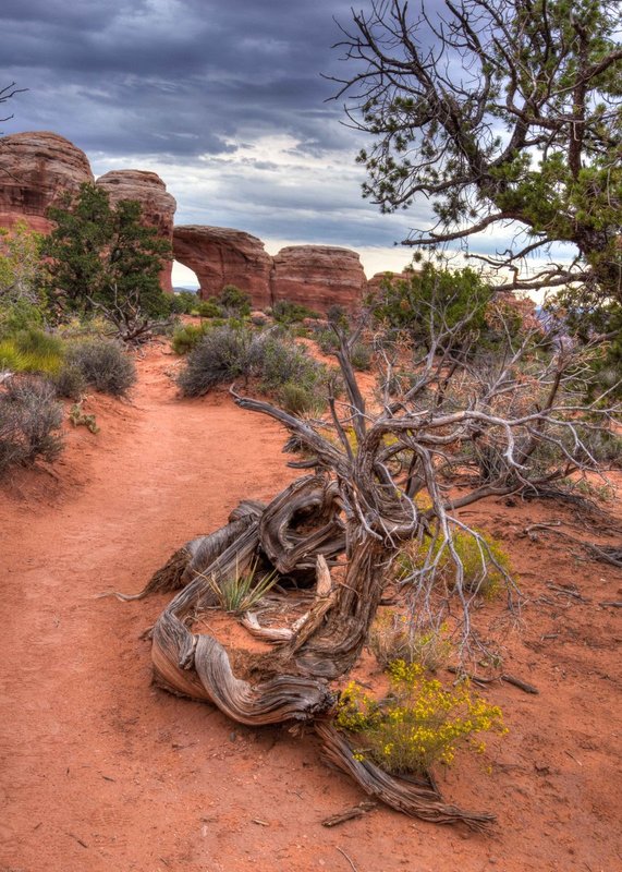 TSJ_20130908_0382_3_4.jpg :: Arches National Park
