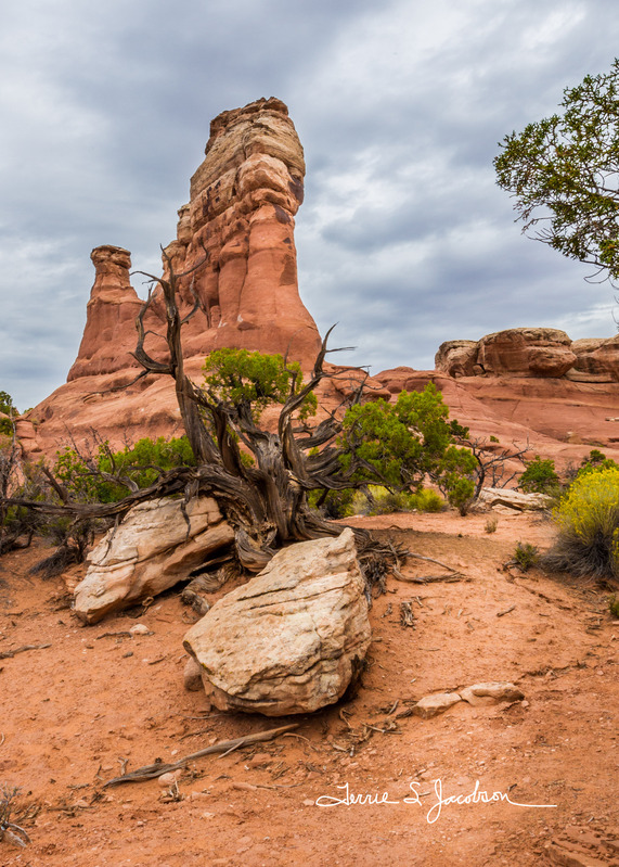 TSJ_20130908_0392(1).jpg :: Arches National Park