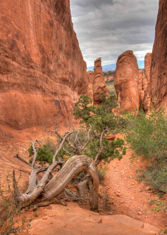 TSJ_20130908_0578_79_80.jpg :: Arches National Park