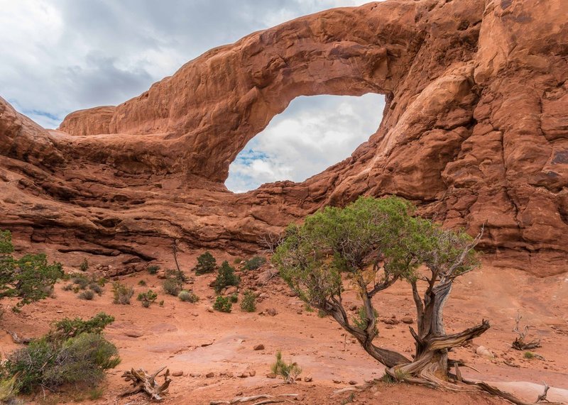 TSJ_20130908_0679.jpg :: Arches National Park
