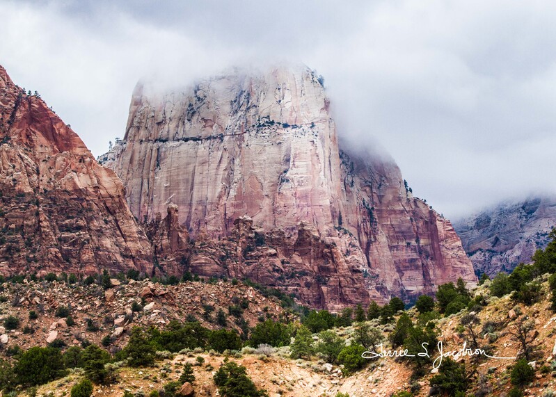 TSJ_20130910_2-365.jpg :: Zion National Park, UT