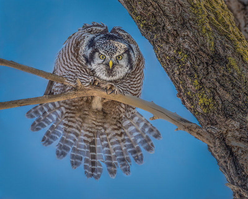 TSJ_20150301_0964-5 copy(1).jpg