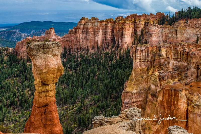TSJ_20150915_2576.jpg :: Bryce Canyon National Park