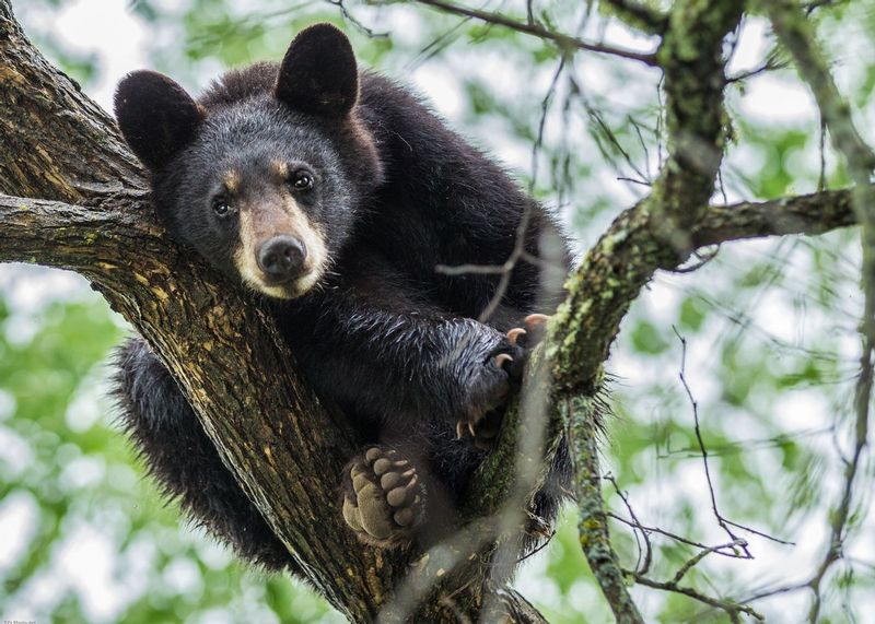 TSJ_20140601_57961.jpg :: \