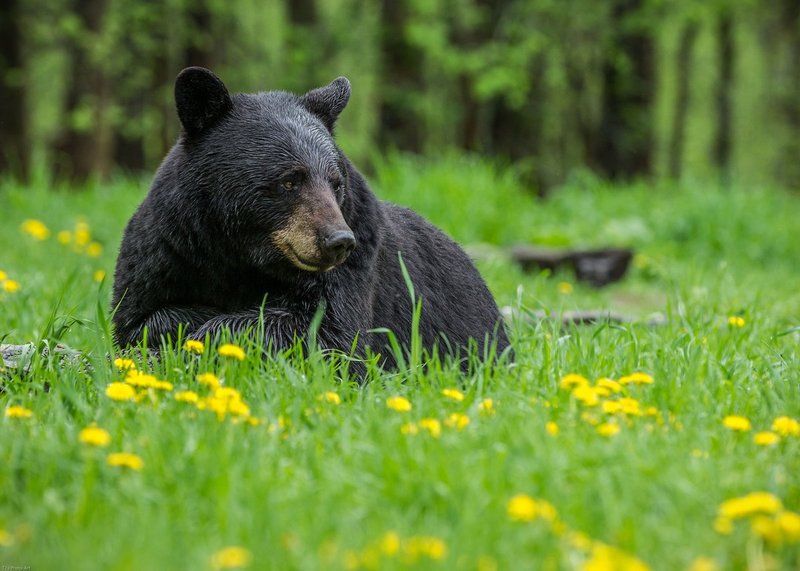 TSJ_20140601_5958.jpg :: \