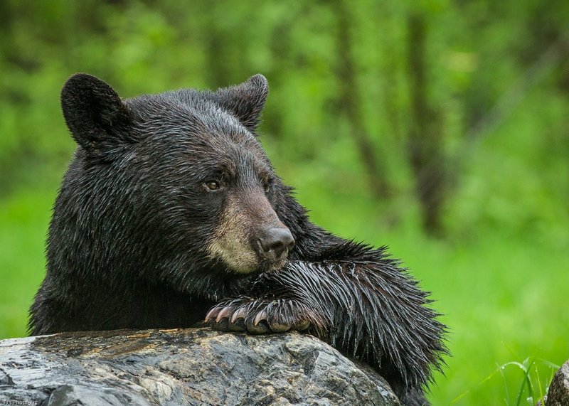 TSJ_20140601_7124.jpg :: \