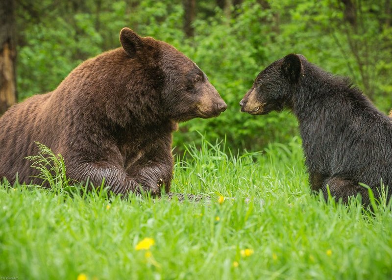 TSJ_20140602_8934.jpg :: \